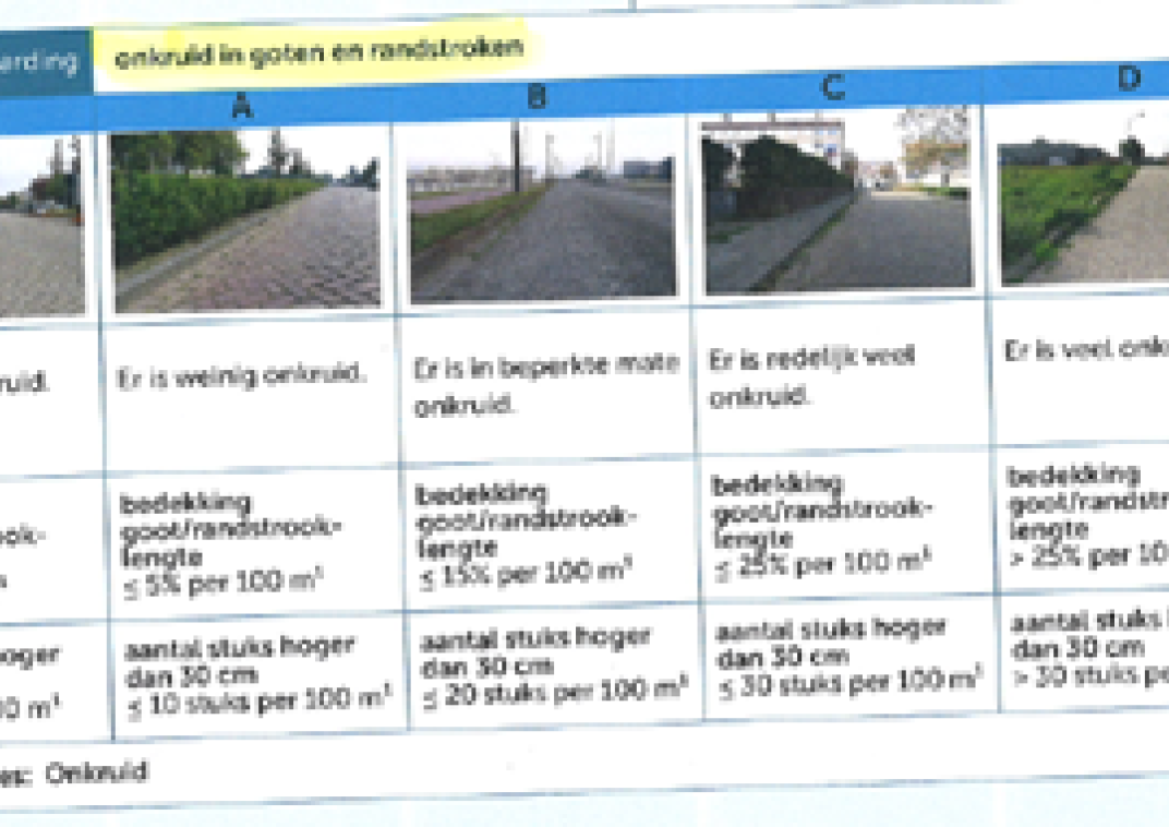 Beeldbestek onkruidbeheersing