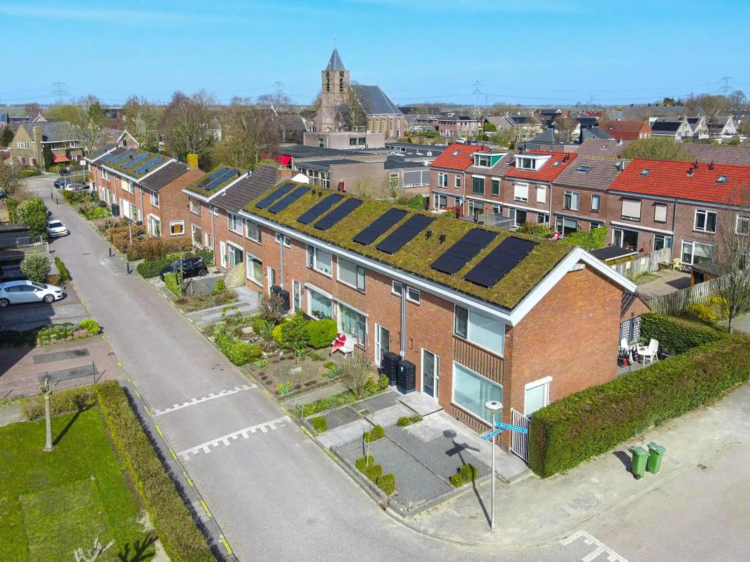 Meer natuur in de wijk én prettiger wonen dankzij groene daken in Oud-Alblas