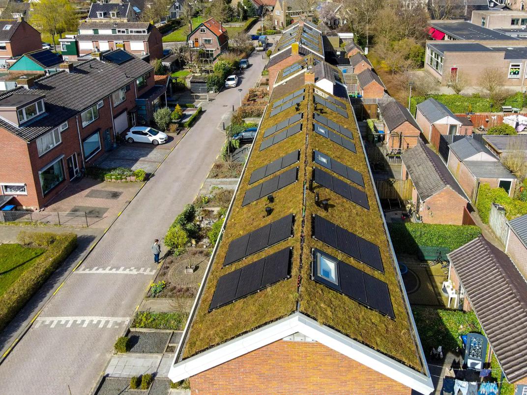 Meer natuur in de wijk én prettiger wonen dankzij groene daken in Oud-Alblas