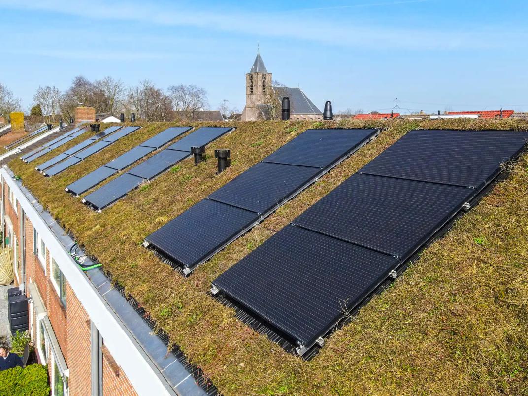 Meer natuur in de wijk én prettiger wonen dankzij groene daken in Oud-Alblas